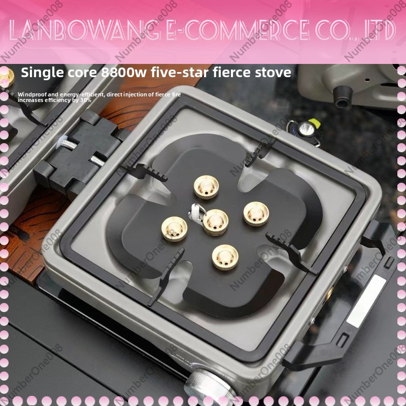 Outdoor Dual Burner High Power - огляд і ціна Camping Cooking Gas
