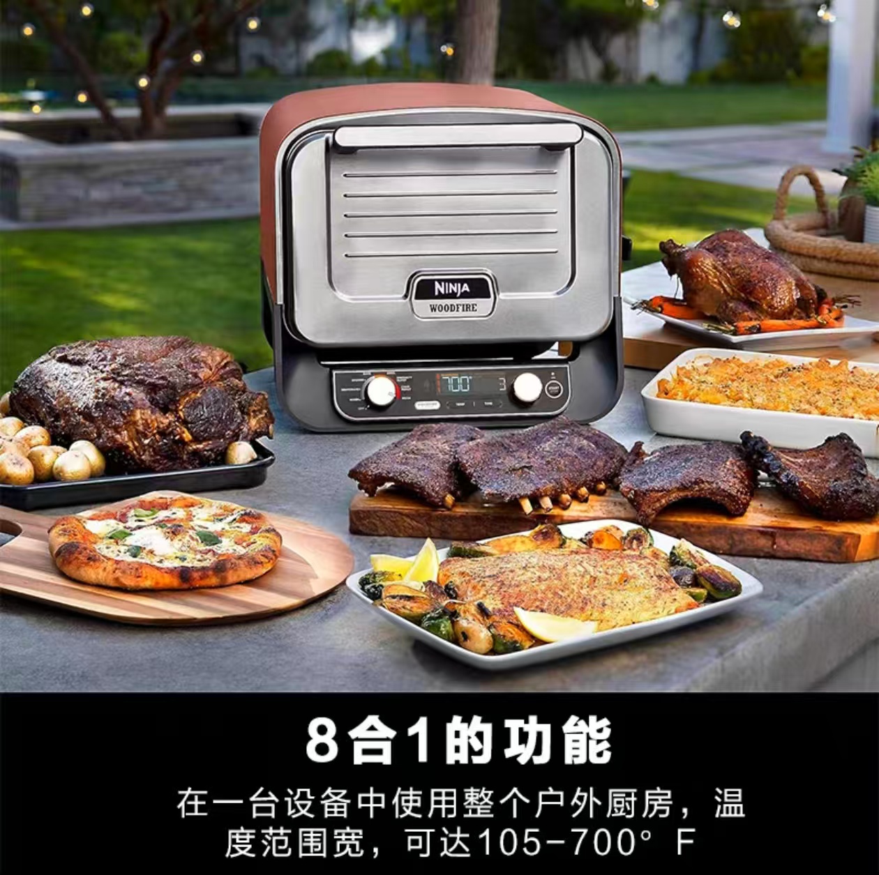 2026 Outdoor Pizza Oven for El - огляд і ціна Cooking Outdoor Camping